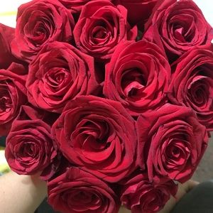 Meet your Posher, Rita